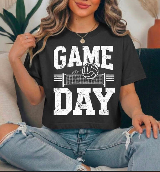 Volleyball Game Day